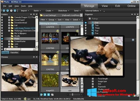 Skærmbillede ACDSee Photo Manager Windows 8