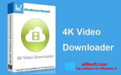 Skærmbillede 4K Video Downloader Windows 8