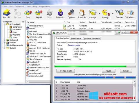 Skærmbillede Internet Download Manager Windows 8