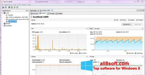 Skærmbillede Java Virtual Machine Windows 8