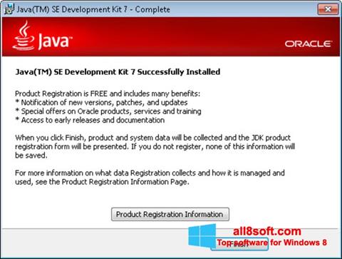 Skærmbillede Java Windows 8