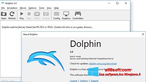 Skærmbillede Dolphin Windows 8