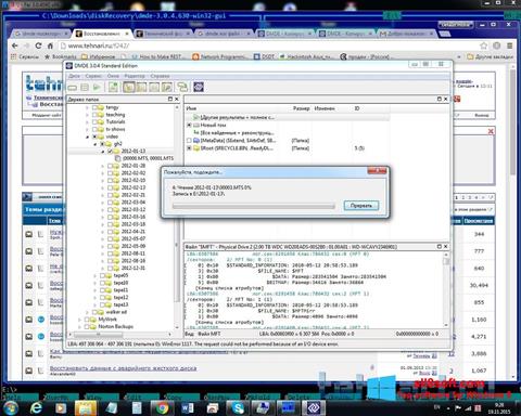 Skærmbillede DMDE Windows 8