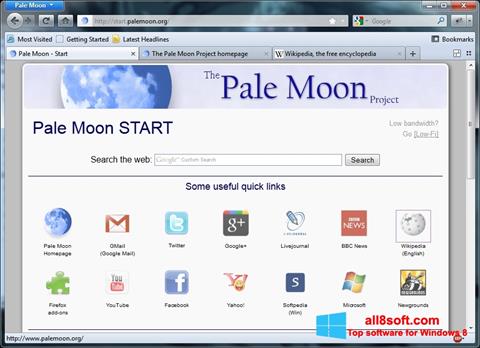 Skærmbillede Pale Moon Windows 8