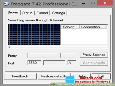 Skærmbillede Freegate Windows 8