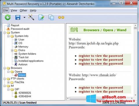 Skærmbillede Multi Password Recovery Windows 8