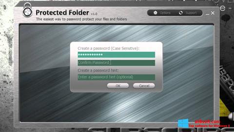 Skærmbillede Protected Folder Windows 8