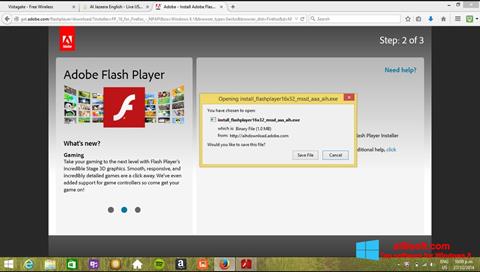 Skærmbillede Adobe Flash Player Windows 8