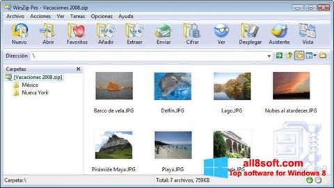 Skærmbillede WinZip Windows 8