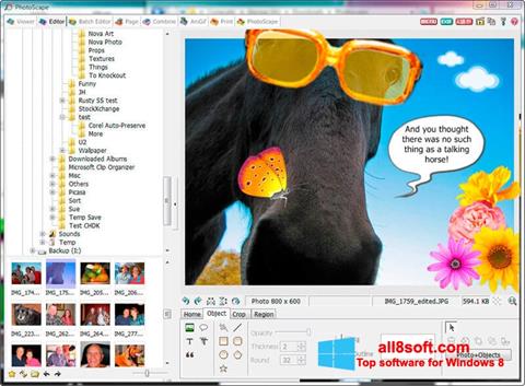 Skærmbillede PhotoScape Windows 8